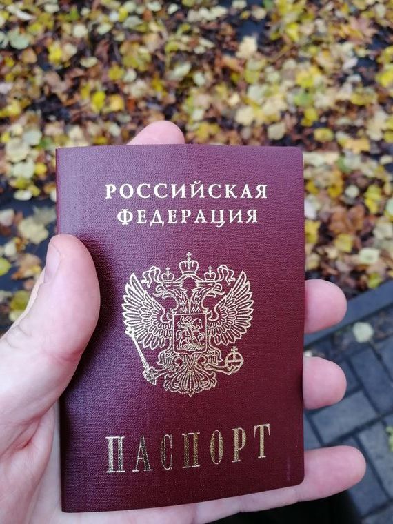 прописка в Зернограде